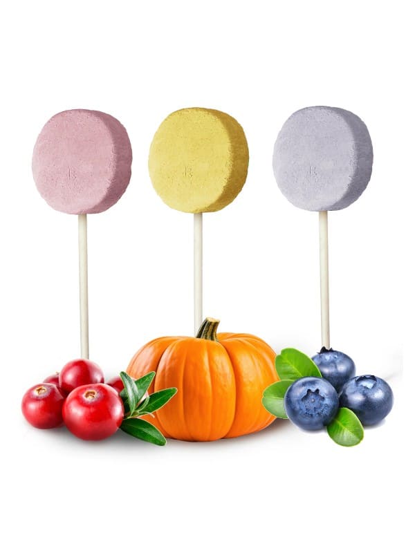 Dr Malou külmkuivatatud pulgakommid koerale 48g, 6tk