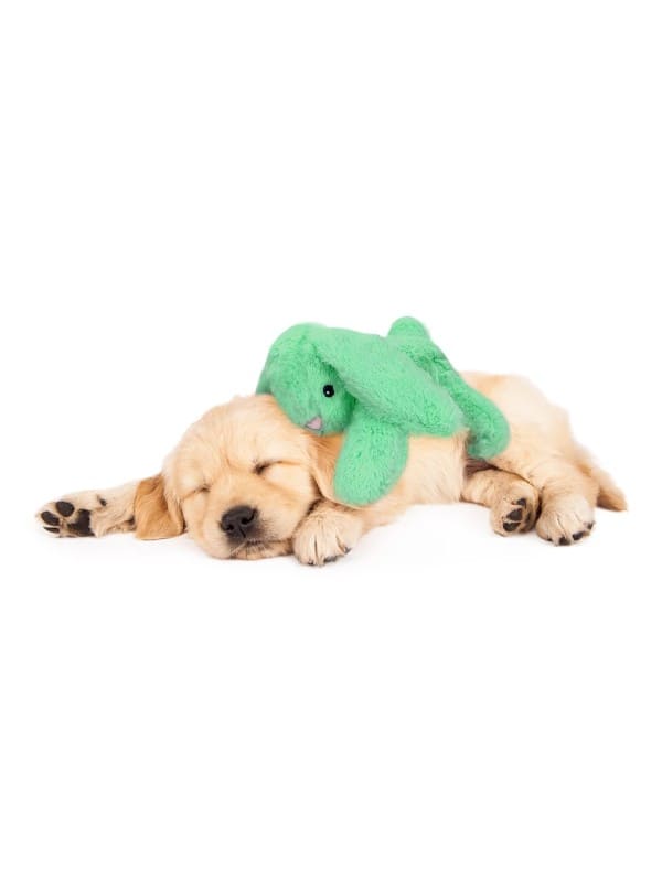 Cozy Dog Bunny soojendusega mänguasi koerale