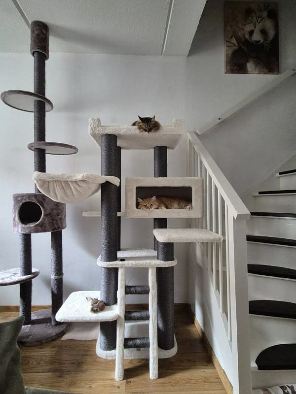 Petrebels Estate valge