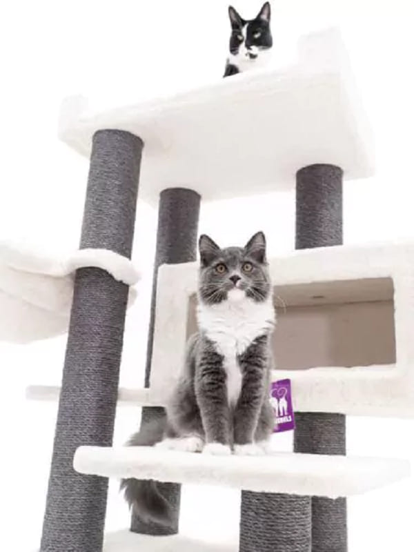 Ronimispuu kassidele Petrebels Estate 170, valge