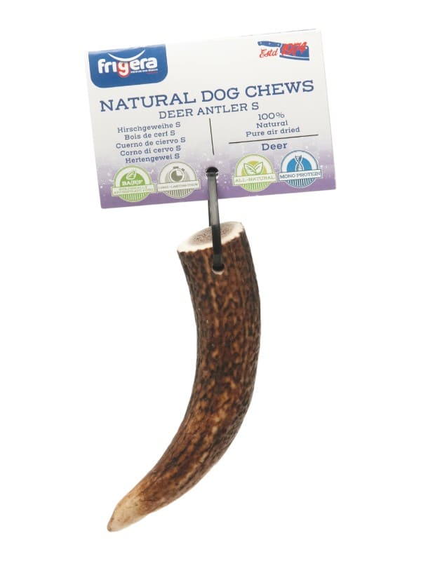 Pühvli sarv S Frigera, 1 tk