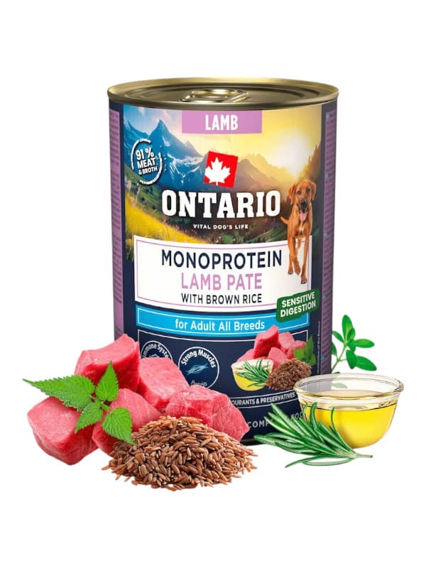 Ontario Sensitive monoproteiin lambapatee pruuni riisiga 6x 400g