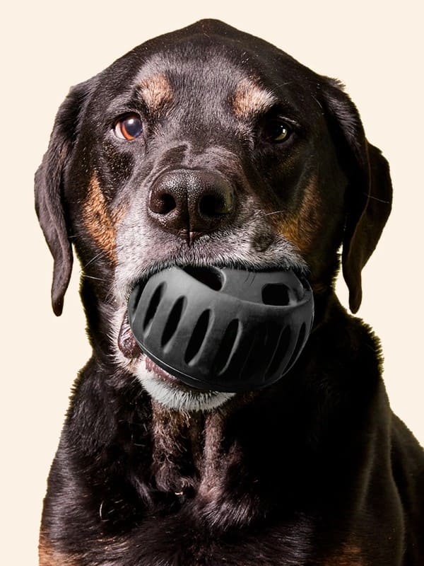 Täidetav mänguasi Sana Pupsicle XL