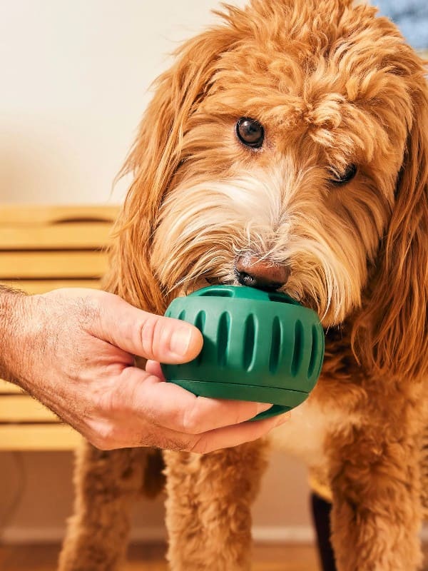 Täidetav mänguasi Sana Pupsicle S