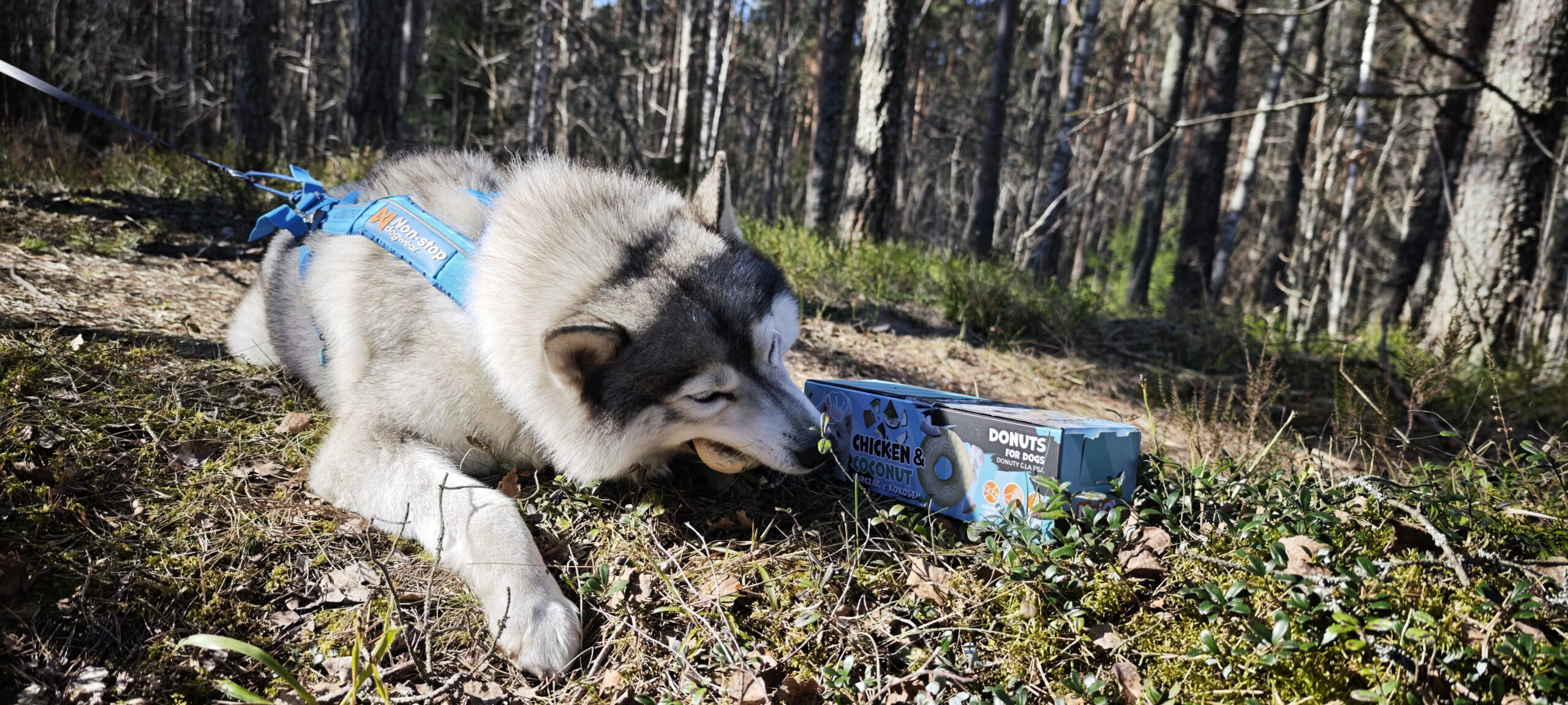 Uniq Pets sõõrikud koertele kana ja kookosega, 10x50g