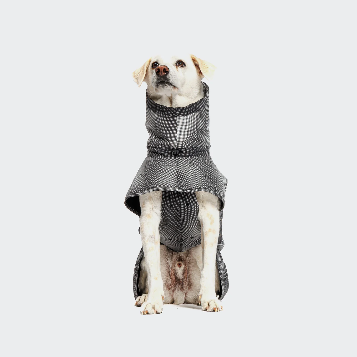 Koerte vihmamantel Cloud7 AKTIV, Black