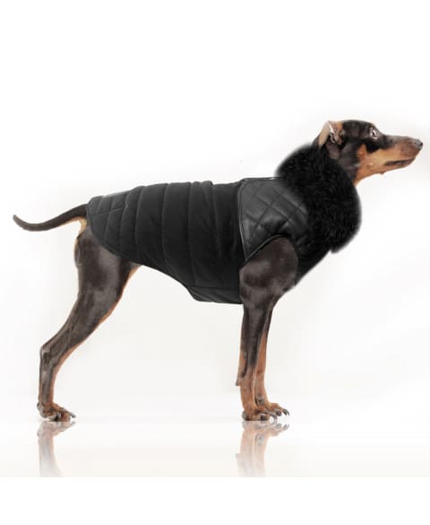 Milk&Pepper Shane Puff Jacket